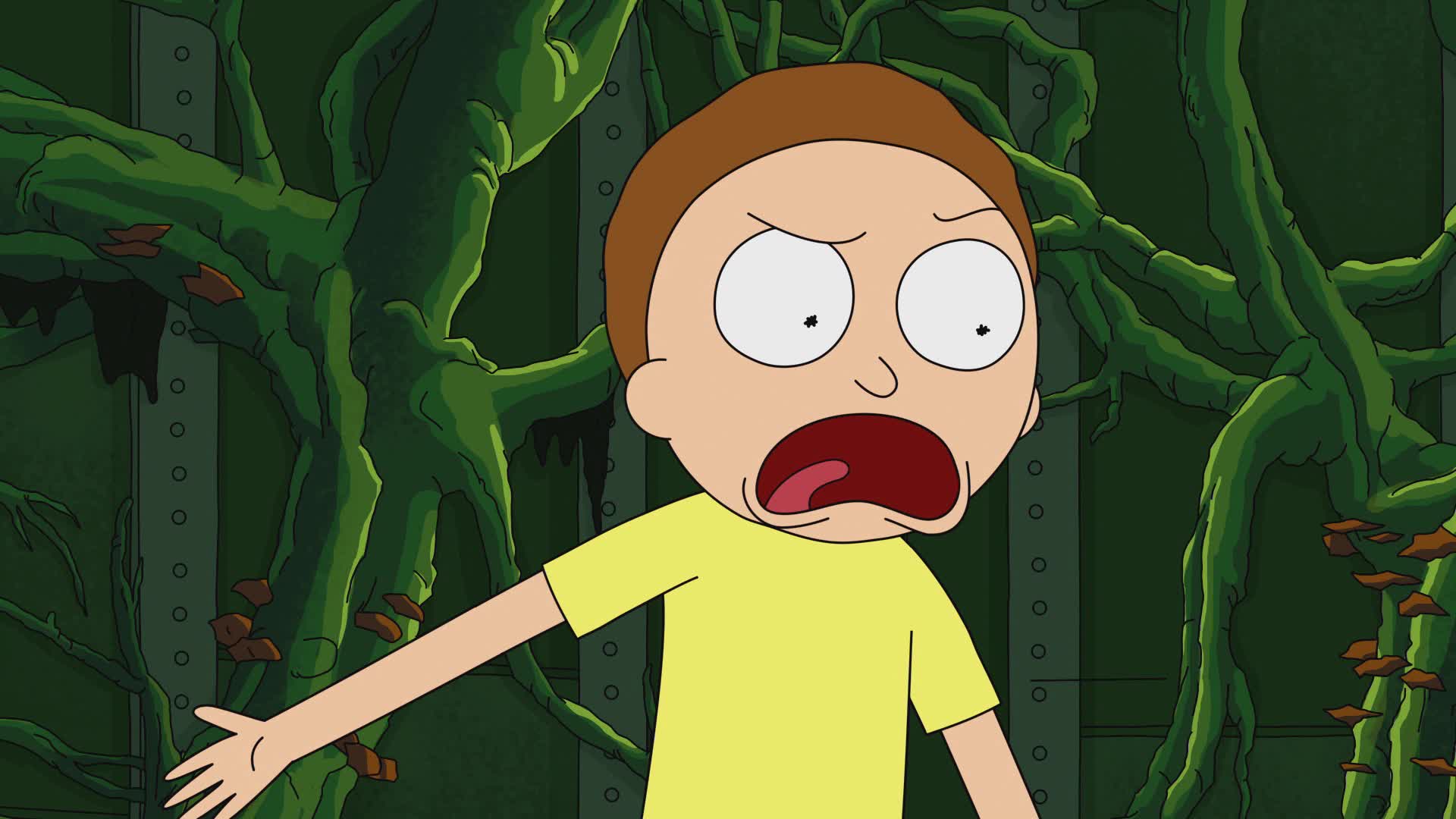 Рик и Морти 1 сезон 10 серия